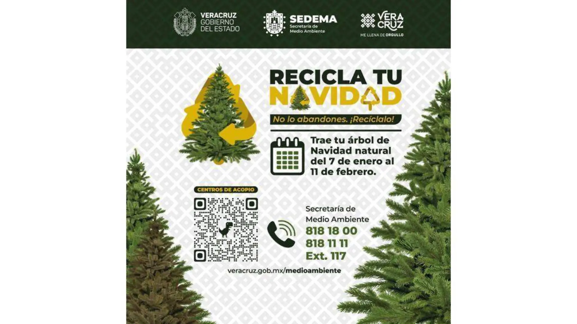 Recicla tu Navidad